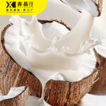 Coconut Milk | Thick & Creamy Coconut Beverage for Bubble Tea - 图片 2