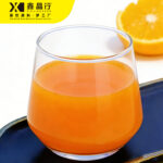 Premium Orange Juice Concentrate | Professional Fruit Syrup for Bubble Tea & Beverage Shops - 图片 2
