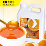 Premium Orange Juice Concentrate | Professional Fruit Syrup for Bubble Tea & Beverage Shops