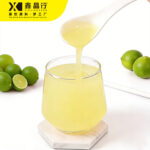 Refreshing Lime Yogurt with Rich Creamy Texture for Cafes, Restaurants and Retail - Image 2