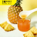 Refreshing Concentrated Pineapple Juice for Drinks, Smoothies and Desserts - Image 2