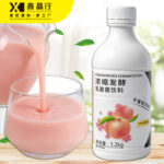 Premium Peach Lactobacillus Beverage with Live Probiotics for Gut Health & Daily Refreshment